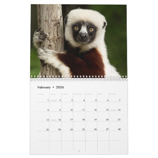 Lemurs 2025 kalender (Feb 2026)