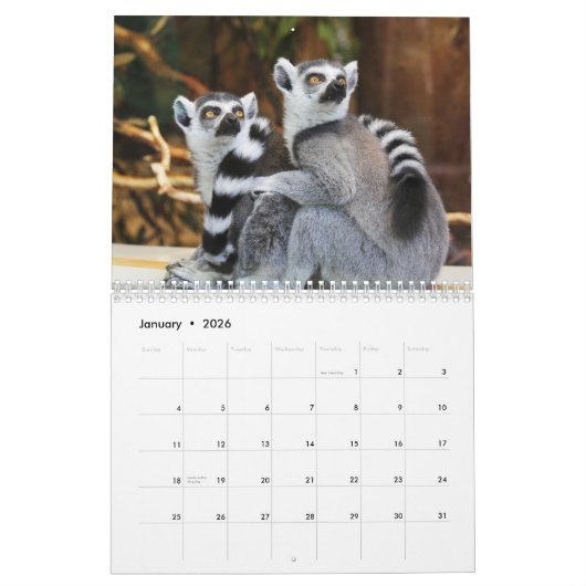Lemurs 2025 kalender (Jan 2026)