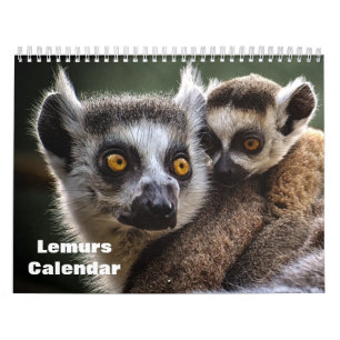 Lemurs 2025 kalender