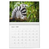 Lemurs 2025 kalender (Mar 2027)