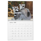 Lemurs 2025 kalender (Jan 2027)