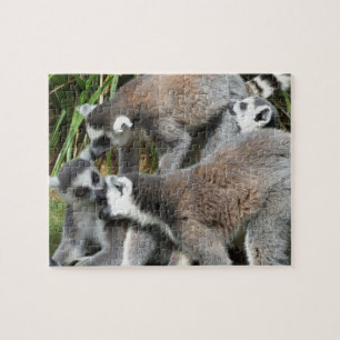 Lemurs Jigzaag Puzzle Legpuzzel