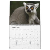 LEMURS KALENDER (Jan 2027)