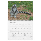 LEMURS KALENDER (Mar 2027)
