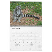LEMURS KALENDER (Mar 2026)