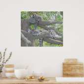 Lemurs Poster (Keuken)