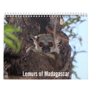 Lemurs van de agenda van Madagaskar Kalender