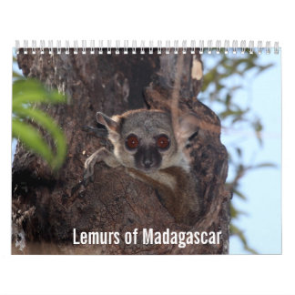 Lemurs van de agenda van Madagaskar Kalender