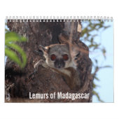 Lemurs van de agenda van Madagaskar Kalender (Hoes)