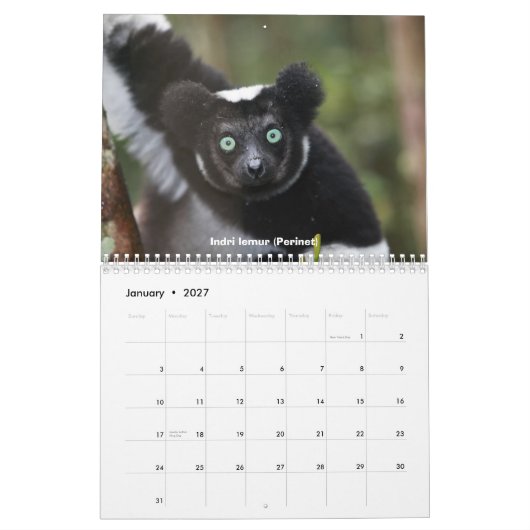 Lemurs van de agenda van Madagaskar Kalender (Jan 2027)