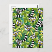 Lemurs van Madagaskar in het exotische Oerwoud Briefkaart (Voorkant / Achterkant)