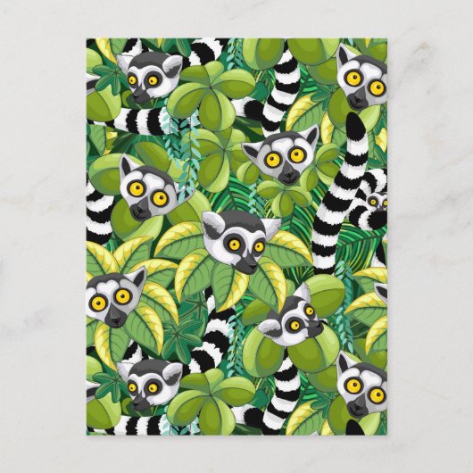 Lemurs van Madagaskar in het exotische Oerwoud Briefkaart (Voorkant)