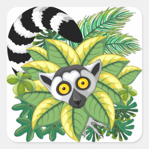 Lemurs van Madagaskar in het exotische Oerwoud Vierkante Sticker