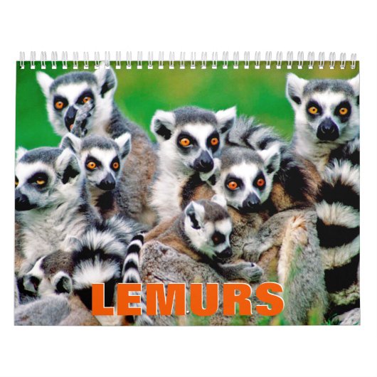 Lemurs Wall Agenda Kalender (Hoes)