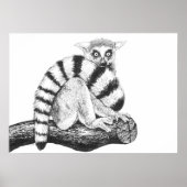 Lemurtekening Poster (Voorkant)