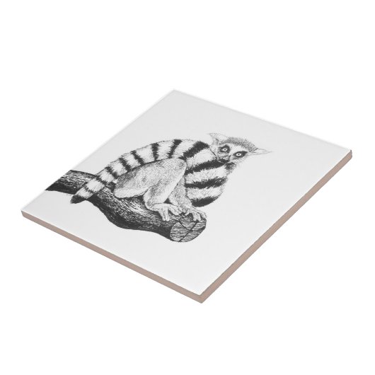 Lemurtekening Tegeltje (Zijkant)
