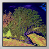 Lena Delta Rusland Poster (Voorkant)