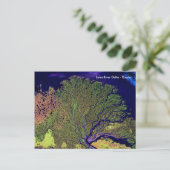 Lena River Delta uit de ruimte - Rusland Briefkaart (Staand voorkant)