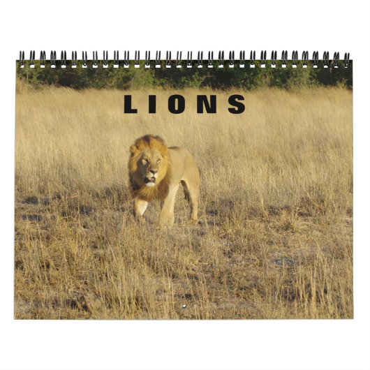 LENEN - ALLE LENKALENDERS KALENDER (Hoes)