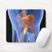 Lengte, doorzichtige dwarsdoorsnede van een molair muismat (Met muis)