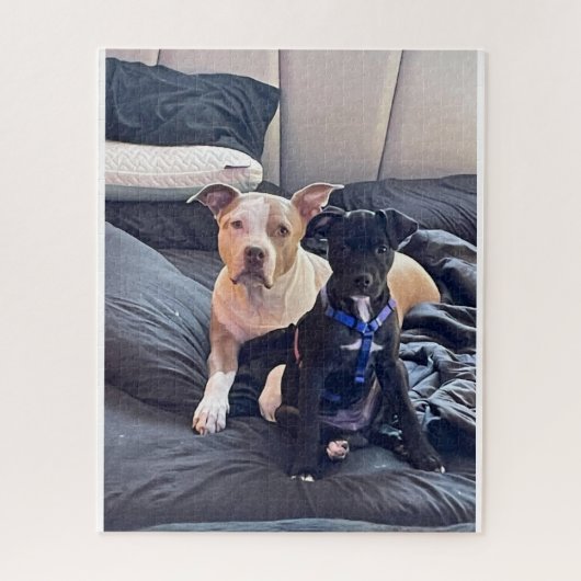 lenguaje legpuzzel (Verticaal)