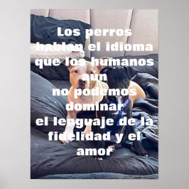 lenguaje poster