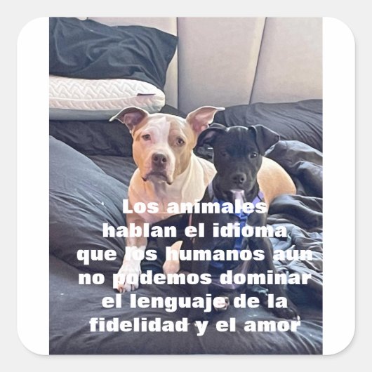 lenguaje vierkante sticker (Voorkant)