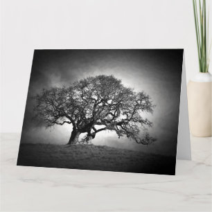 LENING EIKENBOOM KAART