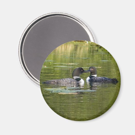 Leningen Magneet (Voorkant / Achterkant)