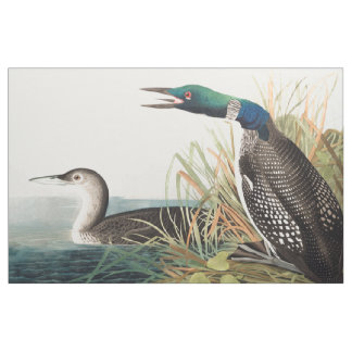 Leningen (Northern Diver) van John James Audubon Stof