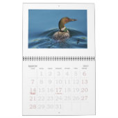 Leningen op de Rideau Kalender (Mar 2027)