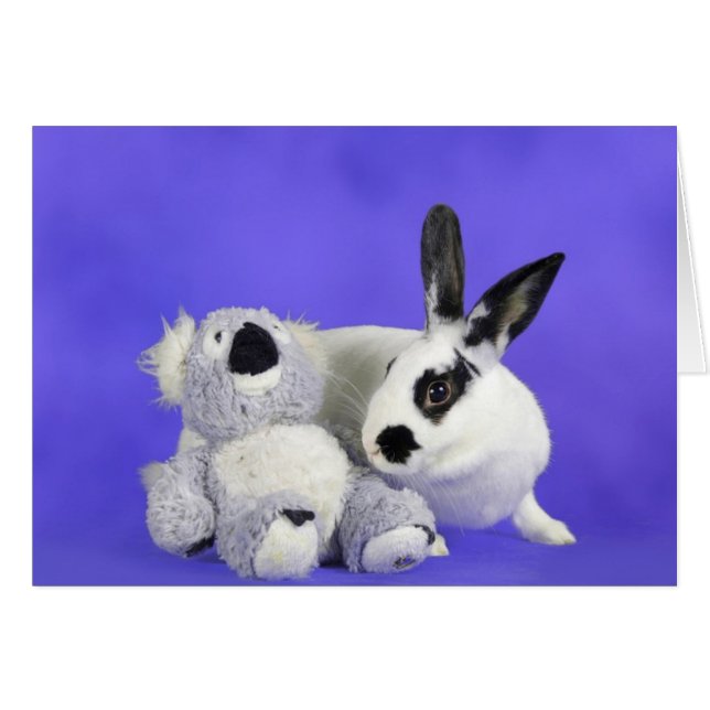 Lenox (Voorkant Horizontaal)