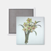 Lent Lily Magneet (Voorkant / Achterkant)