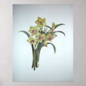 Lent Lily Poster (Voorkant)