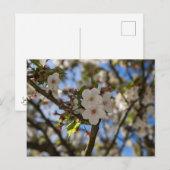 Lentaanveer Briefkaart (Voorkant / Achterkant)