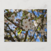 Lentaanveer Briefkaart (Voorkant)