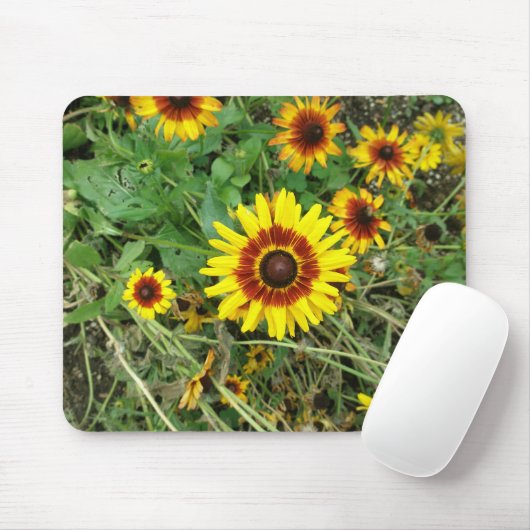 Lentaanveer Muismat (Met muis)