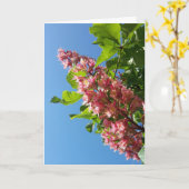 Lentbloeiende kastanjebloemen kaart (Gele Bloem)