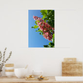 Lentbloeiende kastanjebloemen poster (Keuken)