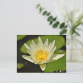Lentbloem - briefkaarten (Staand voorkant)