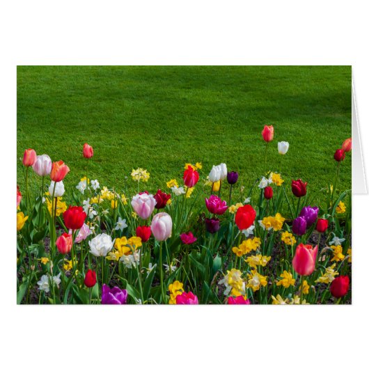 Lentbloemen (Voorkant Horizontaal)