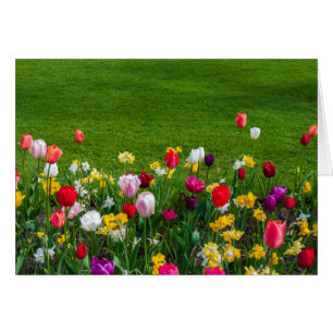 Lentbloemen