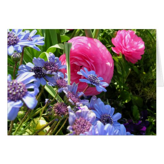 Lentbloemen (Voorkant Horizontaal)