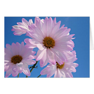 Lentbloemen