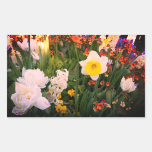 Lentbloemen #1-1 Sticker
