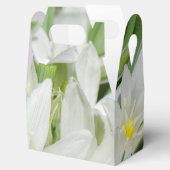 Lentbloemen Bedankdoosjes (Geopend)