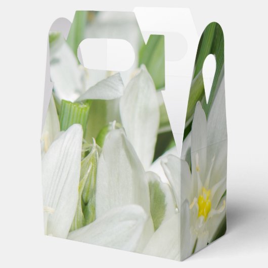 Lentbloemen Bedankdoosjes (Geopend)