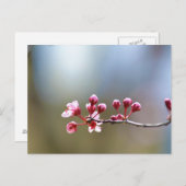 Lentbloemen Briefkaart (Voorkant / Achterkant)