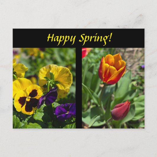 Lentbloemen Briefkaart (Voorkant)