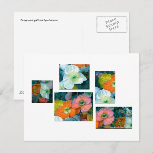 Lentbloemen Briefkaart (Voorkant / Achterkant)